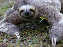 Опасные менеджеры