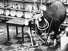 6 способов переубедить настойчивого критика. Как спорить с человеком, который норовит уничтожить ваш проект?