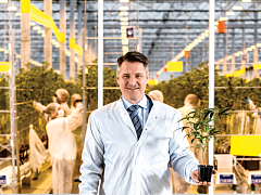 Как стать лидером на легальном рынке по производству марихуаны