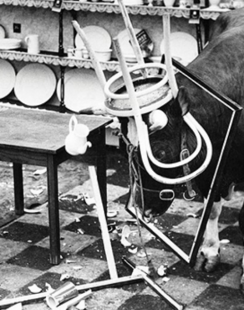 6 способов переубедить настойчивого критика. Как спорить с человеком, который норовит уничтожить ваш проект?