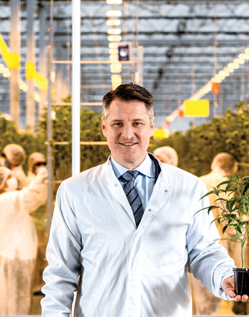 Как стать лидером на легальном рынке по производству марихуаны