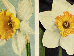 Самовлюбленные типы: инструкция по взаимодействию