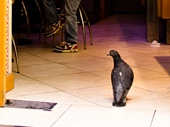 Когда говорить «нет» своим клиентам