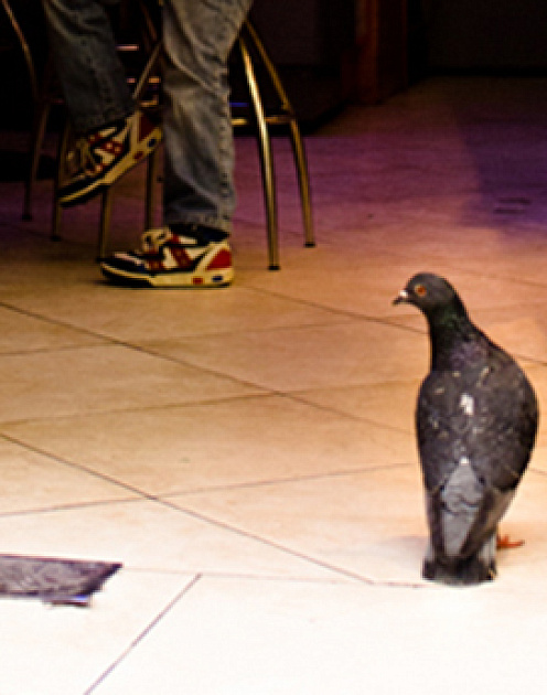 Когда говорить «нет» своим клиентам