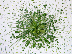 Новые правила: как экосистемы Google и Alibaba меняют принципы стратегии