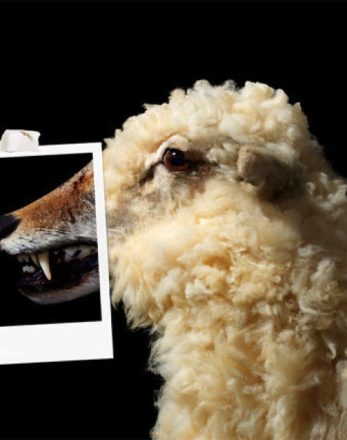 Осторожно, токсичный начальник!