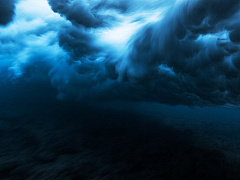 Почему все знают, чего на самом деле хотят террористы