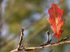 Жизнестойкость: как выстроить собственную стратегию выживания