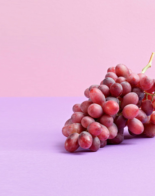 Три урока виноделов