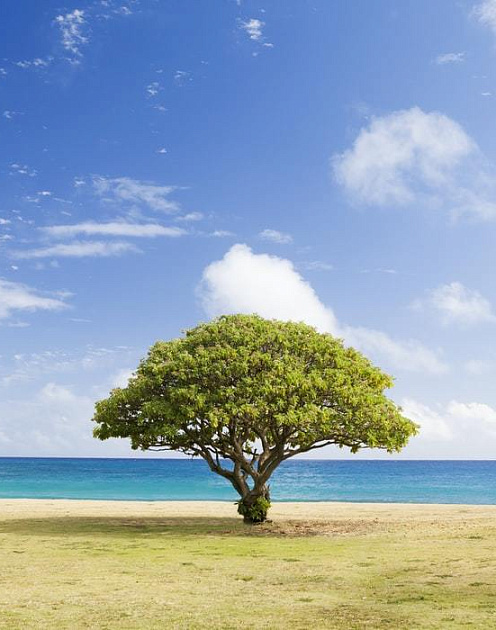 Почему одни компании растут и добиваются успеха, а другие с трудом выживают