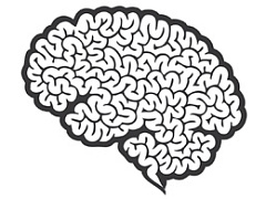 Почему новичку лучше быть диктатором