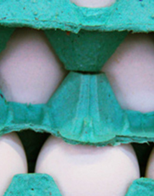 Традиционные магазины по-прежнему не могут победить интернет-цены