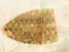 История Stripedshirt: если карьерный поворот закончился тупиком