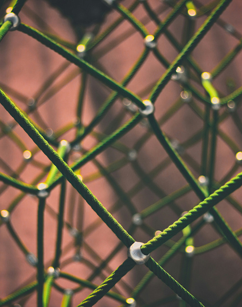 Неформальные сети для большого улова