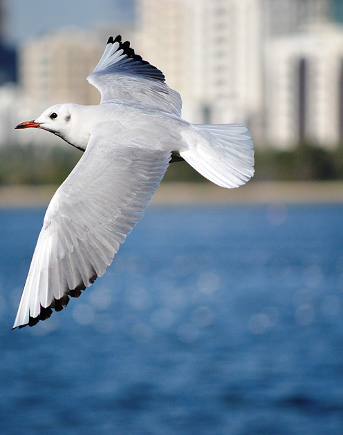 Под влиянием