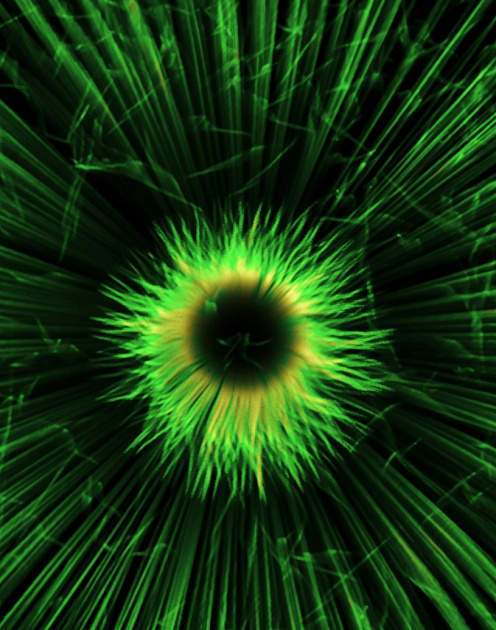 Главные технологии года: взгляд из России. Ч.II