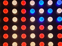 Мгновенная обратная связь ухудшает наши результаты