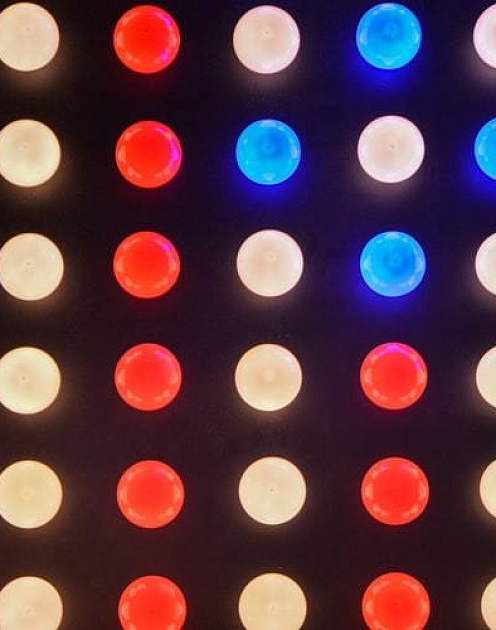 Мгновенная обратная связь ухудшает наши результаты