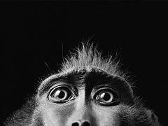 Wow-эффект: как удивить собеседника и выиграть переговоры