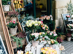 Стартап вместо пенсии