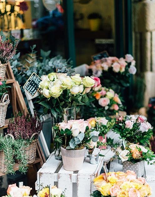Стартап вместо пенсии