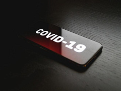 Уроки стойкости: как вернуться в офис и выжить в 2020 году