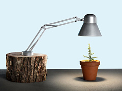 Как привлечь бизнес к решению проблем человечества