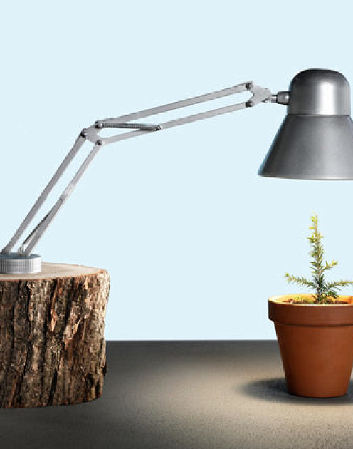 Как привлечь бизнес к решению проблем человечества