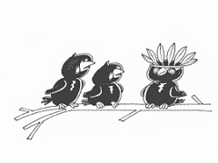 Живи своим умом