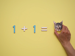 Как не попасть в ловушку, принимая решения