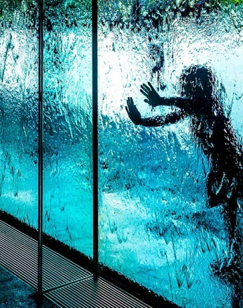 (Не)детские истории: как сделать из ребенка вечного лузера или счастливого лидера