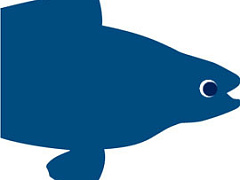 Объявим 20% мирового океана запретной зоной