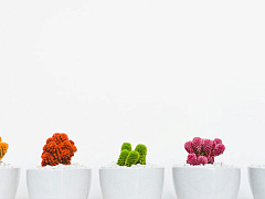 Три шага назад: что делать, если вы слишком много делегировали