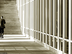 Палач не нужен