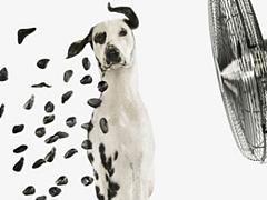 Как изменить культуру Уолл-стрит