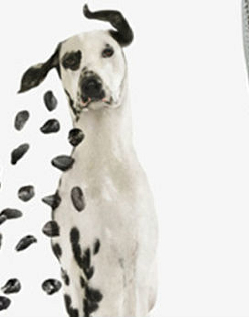 Как изменить культуру Уолл-стрит