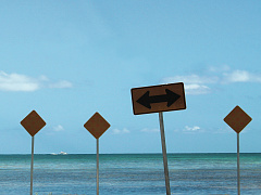 Не бойтесь сделать неверную ставку