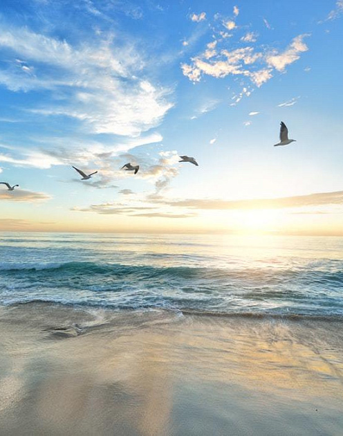 Как раскрыть таланты с помощью голубого океана