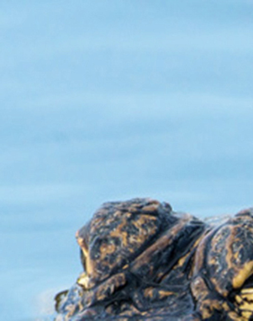 Как помочь пассивно-агрессивному сотруднику