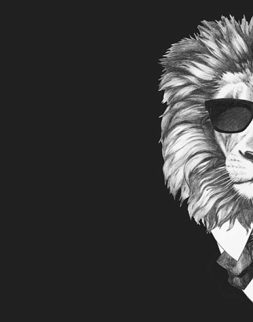 Ядовитая харизма: почему слишком харизматичные лидеры погубят вас и себя