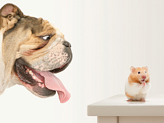 Три бесценных совета молодым сотрудникам отдела продаж