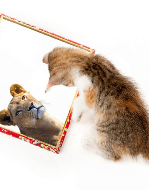 Чтобы не было мучительно больно...