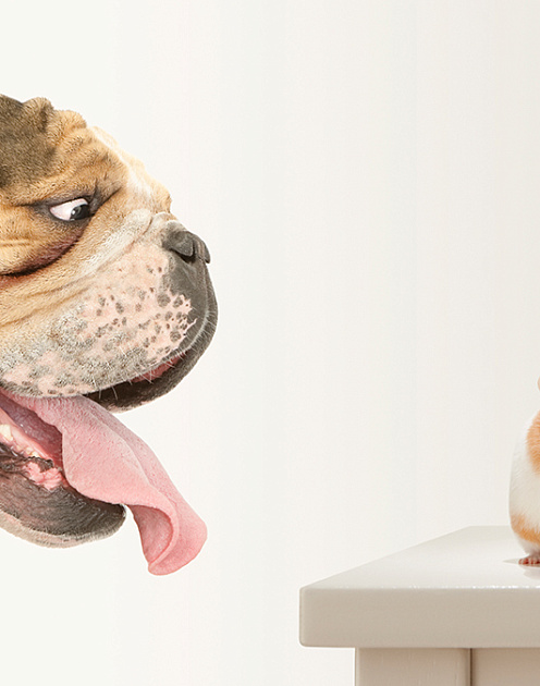 Три бесценных совета молодым сотрудникам отдела продаж