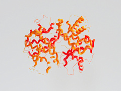 Когда каждый станет программистом