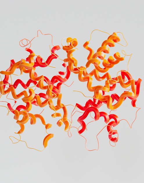 Когда каждый станет программистом