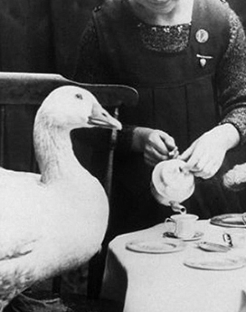 Не стоит называть каждую встречу «собранием»