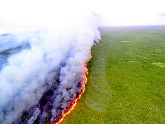 Что нам известно о подрывной силе интернета