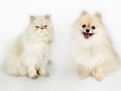 Как разговаривать с теми, кто думает иначе