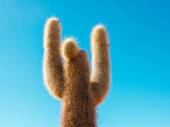 Хотите быть лидером? Учитесь!