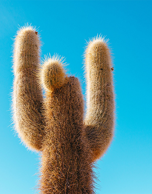 Хотите быть лидером? Учитесь!